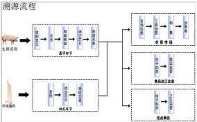 豬肉溯源系統(tǒng)軟件設(shè)計(jì)與開發(fā)解決方案 構(gòu)筑食品安全數(shù)字防線